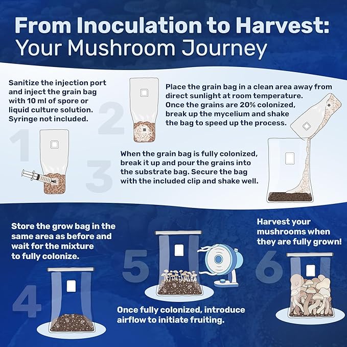 6 LB All-in-One Mushroom Grow Kit 2-Pack, Up to 128oz of Fresh Mushrooms Over 6 Flushes, Sterilized Grain Bags & Dung-Loving Substrate, Injection Port, OMRI-Listed, Made in USA, Just Add Spores
