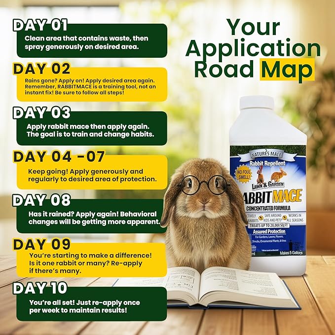 Nature’s MACE Rabbit Mace, Outdoor Rabbit Repellent Spray & Concentrate Kit, Covers 29,400 Sq Ft, Mint Scent, Safe Around Pets, People & Plants