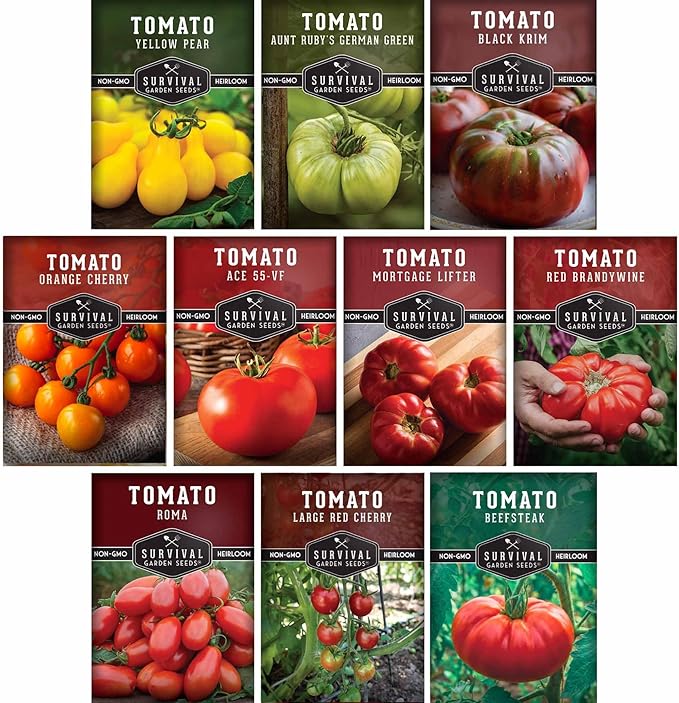 Tomato Seeds 10 Variety Pack for Planting - Black Krim, Roma, Cherry, Aunt Ruby's Green, Orange Cherry, Mortgage Lifter, Brandywine, & More - Non-GMO Heirloom Tomatoes - Survival Garden Seeds