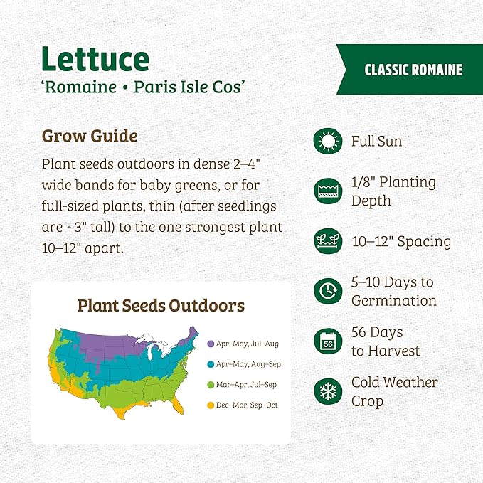 Back to The Roots 100% Organic Seed Packet - Lettuce 'Paris Isle Cos' 420mg