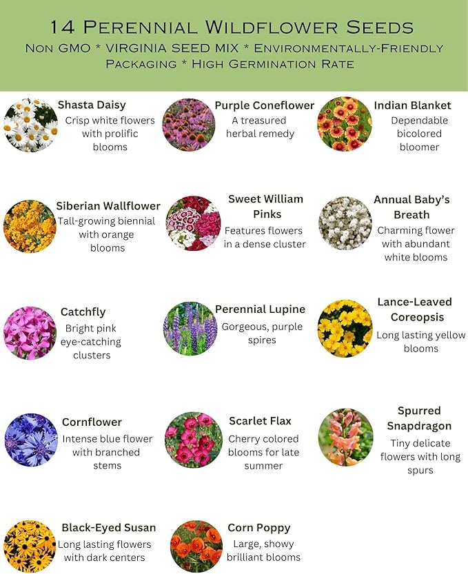 Virginia Bulk Perennial Wildflower Seed Mix 1lb Covers 2,000sq-ft - Attract Pollinators, Multi-Color Blooms - Northeast US Species Plant in Spring/Fall - Earth-Friendly Packaging (1/2 Pound)