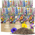 Bulk Wildflower Seeds Partial Shade Mix - 5 Pounds - Over 600,000 Open Pollinated Annual and Perennial Seeds