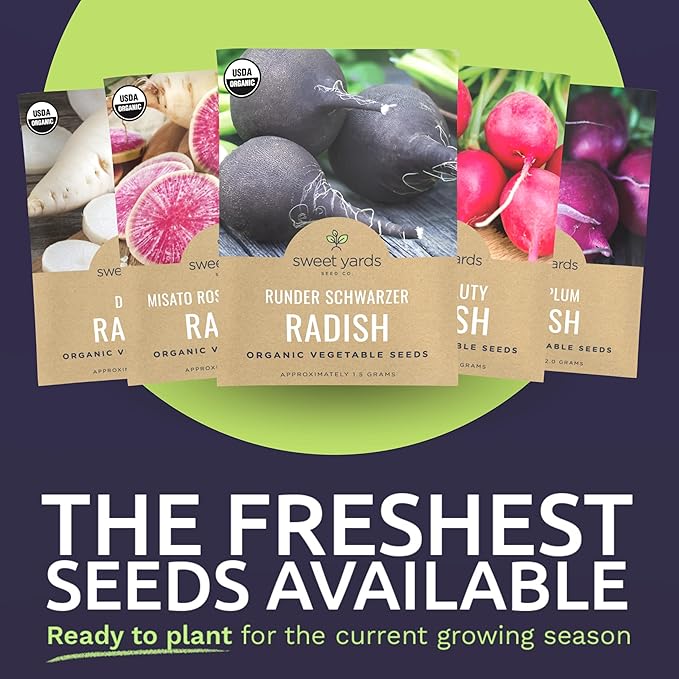 Organic Radish Seeds Variety Pack - 10 Individual Packs - 2026 Season - Pink Beauty, Purple Plum, French Breakfast, Misato Rose and More! for Indoor & Outdoor Planting (Non-GMO, Certified Organic)