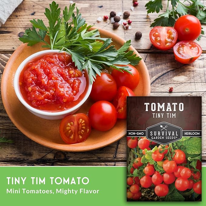 Tiny Tim Tomato Seeds - Dwarf Cherry Tomatoes for Planting Indoors or Patio, Compact Heirloom Variety for Containers, High Yield, Non-GMO - Survival Garden Seeds (3 Packs)