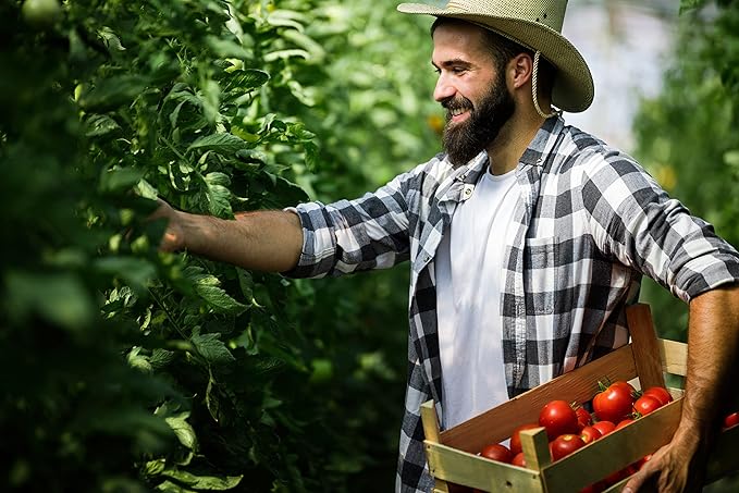 Happy Trees Large Heavy Duty Tomato Cages - Support for Climbing Vegetables and Plants - 18" x 18" x 58" - Thick Gauge Galvanized Steel, Collapsible Easy Storage, 3-Pack, Made in USA