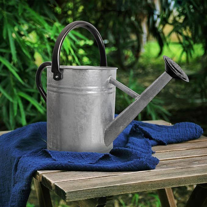 Metal Watering Can with Removable Spout, Galvanized Steel Plants Water Can for Women, Men and Kids' Outdoor or Indoor Gardening - Nice Flower Watering Pot Gift & Decoration (Zinc, 0.6 Gallon)
