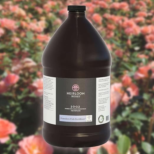 Heirloom Roses Founder’s Fish Fertilizer, Plant Food for Plants, Organic Liquid Emulsion Fertilizer, Garden Fertilizers for Rose Flower and Tomato Outdoor Gardening, 128 Fl Ounces, Pack of 1