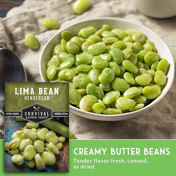 Lima Bean Seeds for Planting – Henderson Butter Bean Seeds for Gardens & Classroom Science Projects, Easy to Grow Non-GMO Heirloom Variety - Survival Garden Seeds (1 Pack)