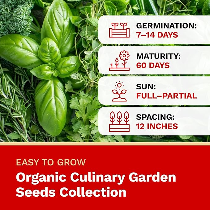 The Harvest Company Organic Culinary Garden Seed Collection, Non-GMO, Certified USDA Organic, Open-Pollinated Garden Herb Seeds for Indoor Outdoor Planting, 145 Seeds Total