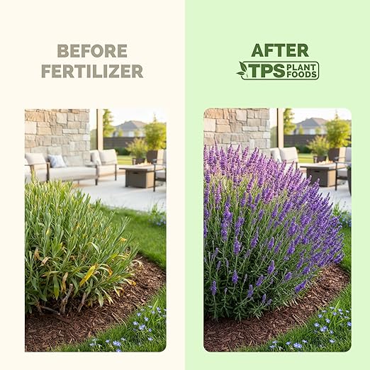 Lavender Fertilizer – Liquid Plant Food for More Blooms, Stronger Roots & Healthy Growth, 8 oz