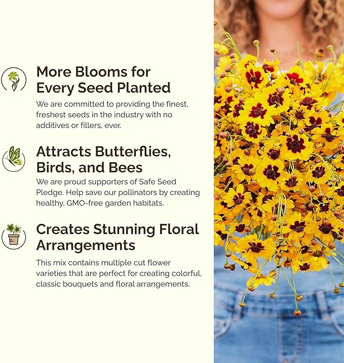 Eden Brothers Mellow Yellow Flower Mixed Seeds for Planting, 1/4 lb, 120,000+ Seeds with Painted Daisy, Zinnia, Cosmos | Attracts Pollinators, Plant in Spring or Fall, Zones 3, 4, 5, 6, 7, 8, 9, 10