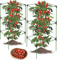 2 Pack Tomato Cages for Garden,Square Tomato Plant Cage Support Heavy Duty Pole 57*15.4*15.4 Inches,Steel Plant Tower Stakes,Cherry Tomato Trellis Cucumber for Climbing Vegetables Flowers Fruits-Green