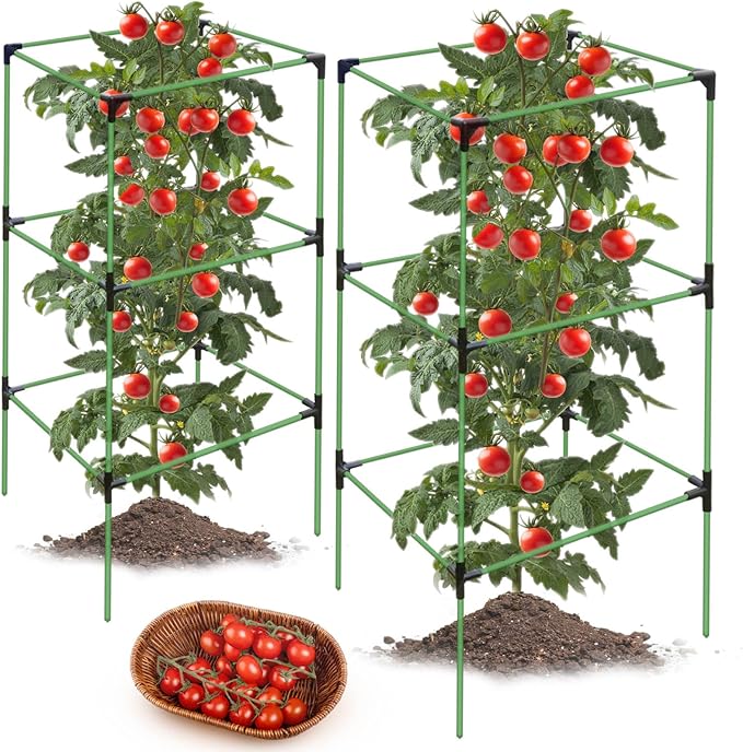 2 Pack Tomato Cages for Garden,Square Tomato Plant Cage Support Heavy Duty Pole 57*15.4*15.4 Inches,Steel Plant Tower Stakes,Cherry Tomato Trellis Cucumber for Climbing Vegetables Flowers Fruits-Green