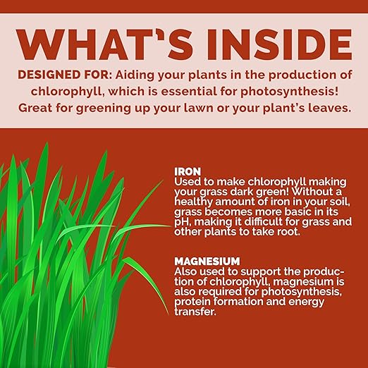Chelated Liquid Iron – Bloom City Organic Iron Supplement for Lawns & Plants – 32 oz