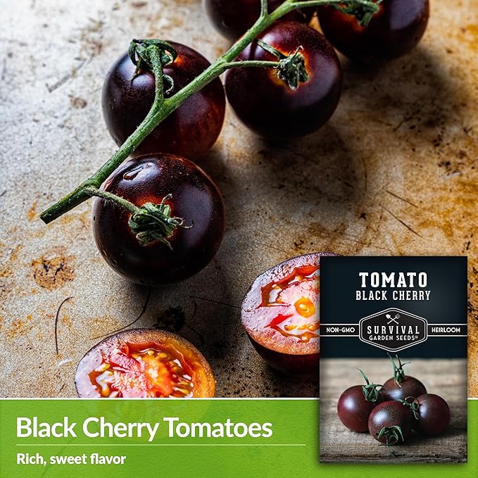 Black Cherry Tomato Seeds for Planting – Indeterminate Heirloom Non-GMO Variety – Grow High Yields of Deep Purple-Black Cherry Tomatoes with Sweet Rich Flavor – Survival Garden Seeds (1 Pack)