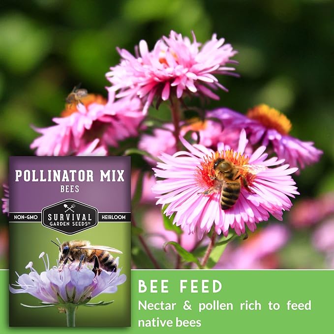 5 Packs Bee Pollinator Mix Seed for Planting - Packet with Instructions to Grow Annual & Perennial Flowers to Feed Bees in Your Home Garden - Non-GMO Heirloom Varieties - Survival Garden Seeds