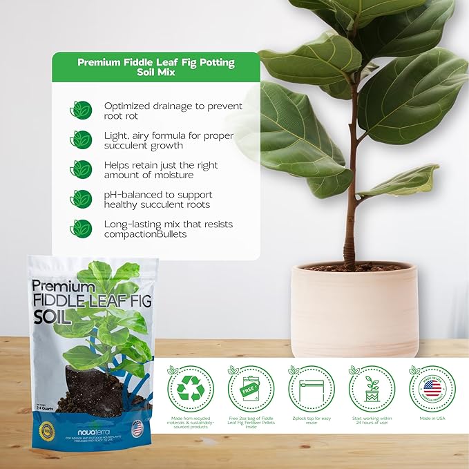 Fiddle Leaf fig Soil Plant Food fig Trees Live Plants Fertilizer Seed Starter Soil Plant Chunky Perlite 4 cu ft Plant pots Indoor with Drainage Free 2 oz Bag of Fertilizer Pellets Inside 2.4 Qts