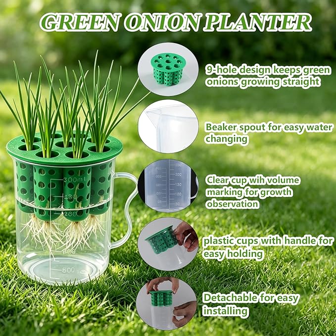 2Sets Green Onion Planter Scallion Grower Seed Sprouting Kit, 2 Green Onion Regrower Container and 2 Plastic Cups with Handle for Windowsill Garden Indoor Hydroponics Propagation Enthusiasts