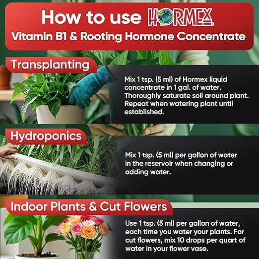 Hormex Liquid Rooting Hormone Concentrate with B1 – Root Growth Stimulator for Strong, Healthy Plants - Prevents Transplant Shock - Houseplants, Gardens, Hydroponics, Trees, Fruits & Vegetables, 32oz