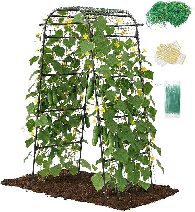 7Ft Garden Arch Trellis for Climbing Plants Outdoor, Heavy Duty Coated Metal Cucumber Trellis for Raised Beds, Tall Steel Gardening Arbor for Vegetables, Tomatoes, Grape, Bean (83’’ x 49’’ x 32’’)