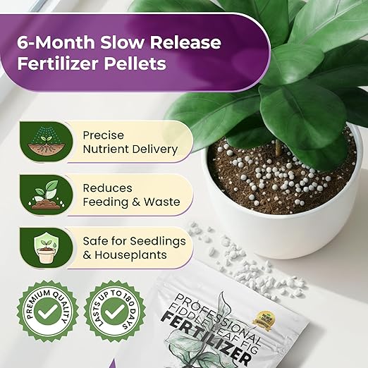 Fiddle Leaf Fig Fertilizer Pellets 16-5-11 Slow Release | Houseplant Fertilizer for Fiddle Leaf Fig, Fig Tree & Indoor Plants | Plant Food for Seedlings & Mature Plants | 5.2 oz