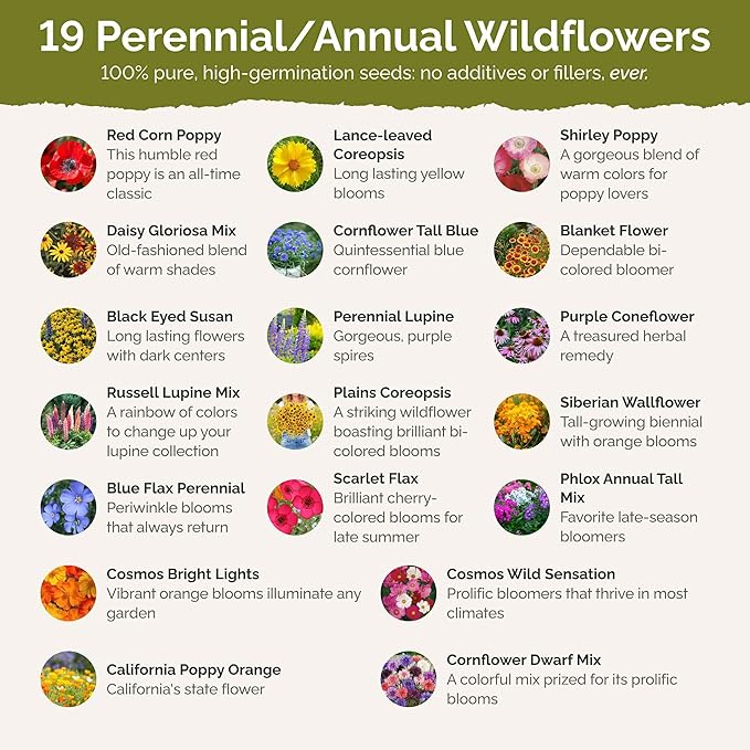 Eden Brothers Burst of Bloom Wildflower Mixed Seeds for Planting, 1/4 lb, 120,000+ Seeds with Cosmos, Black Eyed Susan | Attracts Pollinators, Plant in Spring or Fall, Zones 3, 4, 5, 6, 7, 8, 9, 10