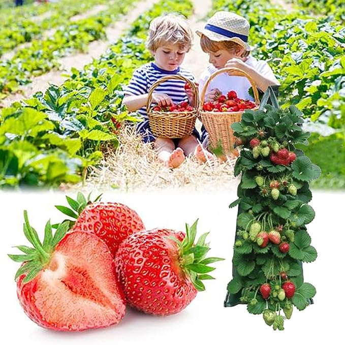 2024 Hanging Strawberry Planter, Upside-Down Patio Garden Tomato Planter Bags, Hanging Strawberry Plant Grow Bags,Hanging Grow Bags Flower Planting Bag Handle Grow Pouch Planter for Outdoor (1)