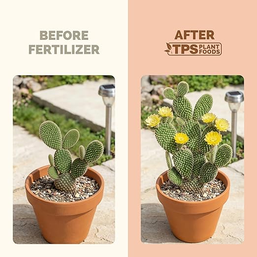 Cactus Fertilizer – Liquid Plant Food for All Cacti, Supports Healthy Cactus Growth & Blooming, 1 Gallon