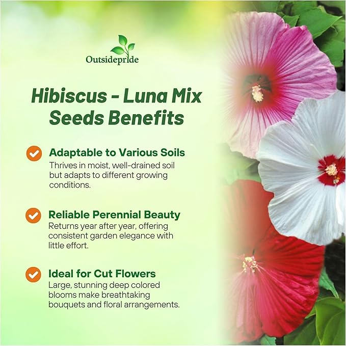 Outsidepride Luna Mix Hibiscus Seeds - 20 Pcs Perennial Flower Seeds for Planting Pollinator-Friendly, Large & Elegant Blooms with Dense Dark Green Foliage for Containers, Pots, & Garden Spaces