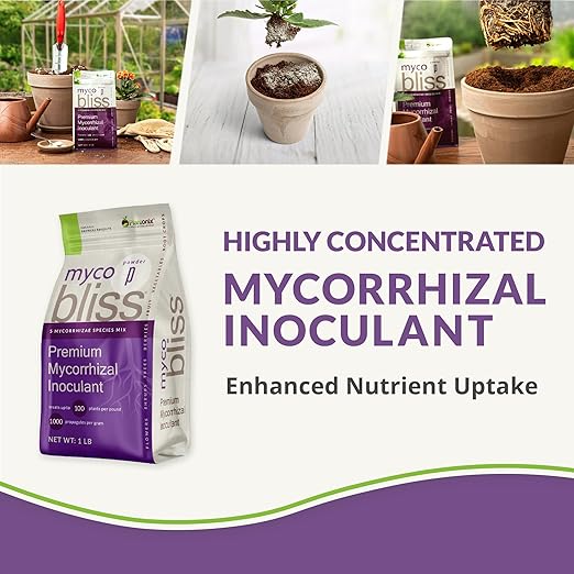 Neem Bliss (1lb) + Worm Bliss (1 Qt) + Myco Bliss (200 g) - Organic Worm Castings for Plants - Neem Meal Fertilizer - Mycorrhizal Fungi Inoculant - Organic Fertilizers for Plants, Flowers, & Gardening