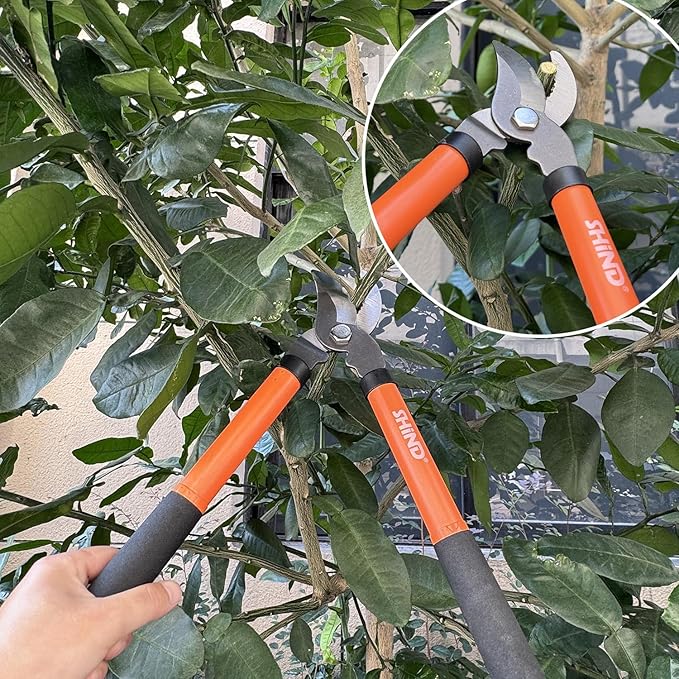 SHIND Lopper Heavy Duty Branch Cutter Tree Clippers with Compound Action, Chops Thick Branch Ease, Garden Loppers Pruning, 15 Inch Tree Trimmer with 1.6” Clean Cut Capacity (15 Inch）