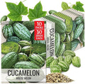 Seed Needs Cucamelon Seeds for Planting Mexican Sour Gherkin Miniature Mouse Melons - Non-GMO Heirloom & Untreated - Grow a Home Grown Indoor Outdoor Vegetable Garden (10 Packs)
