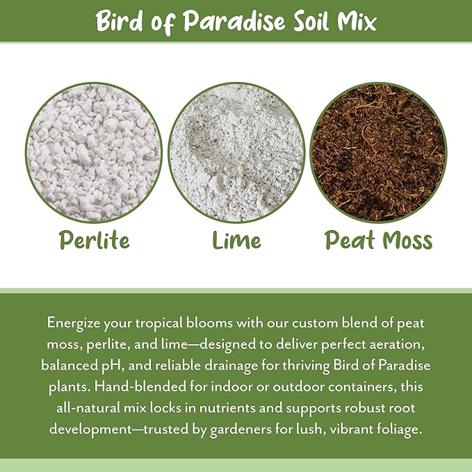 Soil Sunrise Bird of Paradise Potting Soil Mix (8 Quarts) All Natural Mix for Indoor/Outdoor Container Tropical Plants