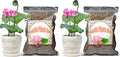 Doter Aquatic Soil for Plants - 2.2LBS, Clay Aquarium Soil Suitable for Small Ponds & Water Plants Like Lotus & Water Lily, Safe for Fish & Aquatic Life (Pack of 2)