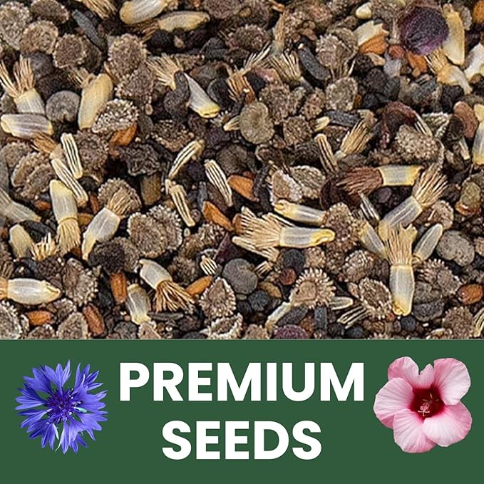 Shade Tolerant Mix – 2,500 Wildflower Seeds for Pollinator Gardens – 2026 Season – 5-Gram Pouch