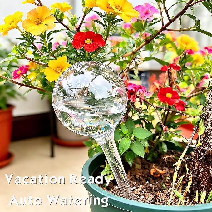 Self Watering Globes for Plants – 12 Pack Large Automatic Watering Bulbs, Vacation Plant Watering Device for Indoor & Outdoor Potted Plants, Slow Release Plant Waterer for Water Conservation