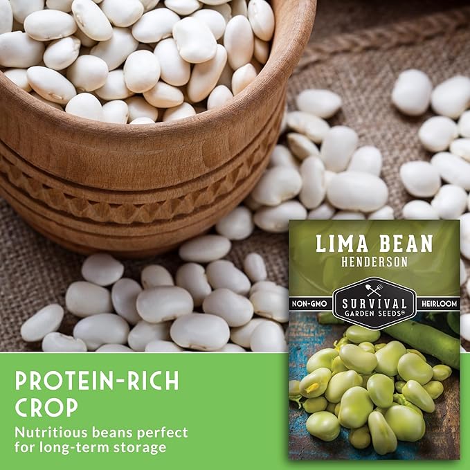 Lima Bean Seeds for Planting – Henderson Butter Bean Seeds for Gardens & Classroom Science Projects, Easy to Grow Non-GMO Heirloom Variety - Survival Garden Seeds (1 Pack)