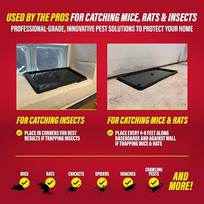Catchmaster Rat, Snake and Mouse Traps 8Pk, Large Bulk Glue Rat Traps for Home, Adhesive Plastic Tray for Inside House, Snake, Mice, & Spider Catcher, Pest Control for House & Garage