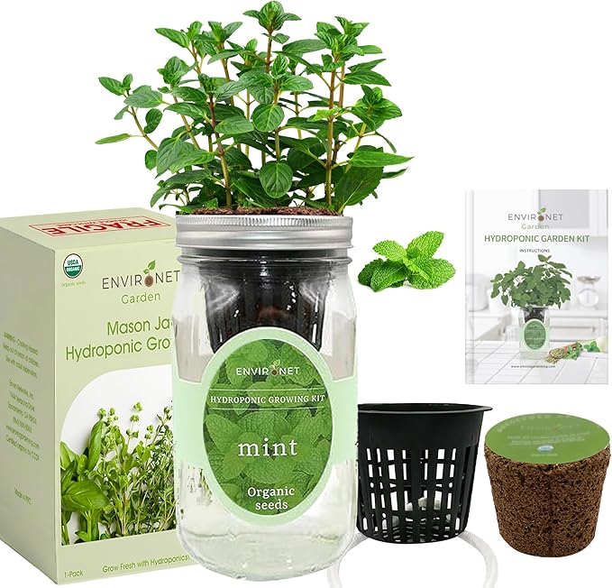 Hydroponic Herb Growing Kit, Self-Watering Mason Jar Herb Garden Starter Kit Indoor, Window Herbs Garden, Grow Your Own Herbs from Organic Seeds (Mint)