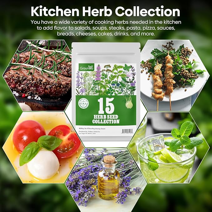 Groundio 15 Herb Seeds Variety Pack | 5,700+ Non-GMO Heirloom Seeds for Planting Indoor & Outdoor | Culinary Collection | Grow Your Own Garden | Gardening Gift