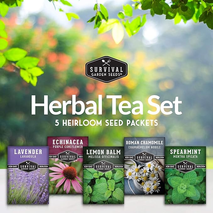 Herbal Tea Garden Seeds Kit | 5 Medicinal Herbs for Planting – Chamomile, Lavender, Lemon Balm, Spearmint, Echinacea – Heirloom Non-GMO – Survival Garden Seeds