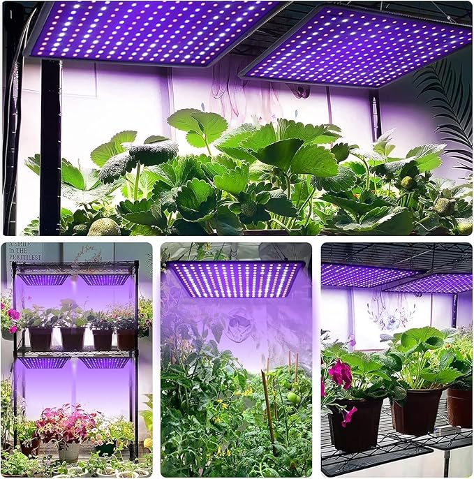 600W Full Spectrum LED Grow Light for Indoor Plants-UV, Grow Lamp for Seed Starting, Seedlings Vegetable Plants, Plant Perper Hanging Growing Lamps(Actual Power 60W)