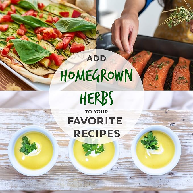 Culinary Herb Seeds Garden Collection | Premium Assortment | 18 Non-GMO Seed Packets: Savory, Mint, Anise, Fennel, Cilantro, Sage, Rosemary, Thyme, Arugula, & More