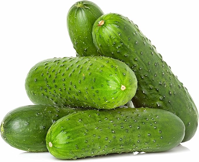 National Pickling Cucumber Seeds for Planting - Heirloom, Non-GMO, USA Grown Seeds in Premium Waterproof Packaging with Plant Information and Instructions - Cucumis Sativus