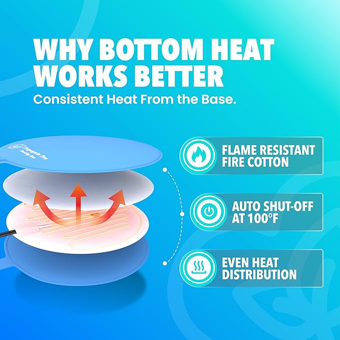 Brewing & Fermentation Heat Pad with Heating Thermostat - 12" Sourdough Starter Warmer Mat, Beer & Wine Fermenting - Heating Mat for Kombucha Jar, Carboy, Glass Jar, Fermentors with Heater Temp Strip