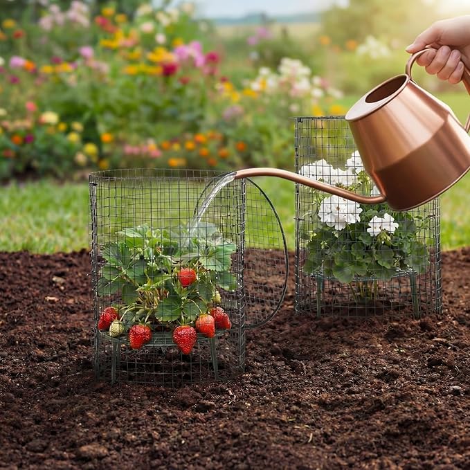 BreezeHug 6 Sets Plant Protectors from Animals with Strawberry Supports, 12x14 Inch Wire Plants Protector Cages with Detachable Covers & Zip Ties & Stakes for Strawberry Flower Vegetable Protection