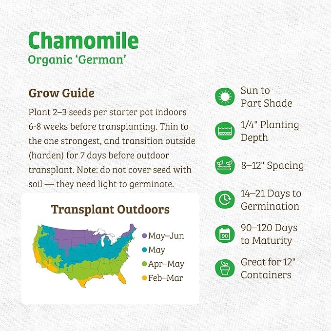 Back to The Roots 100% Organic Seed Packet - Chamomile 'German' 70mg