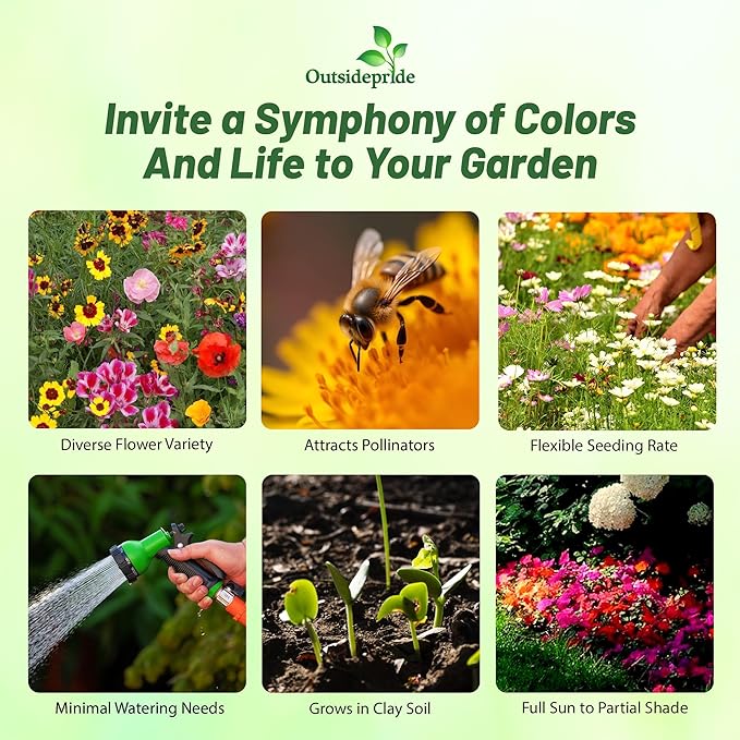 Outsidepride Pollinator Wildflower Seed Mix - 1/4 lb Flower Seeds for Attracting Pollinators, Ideal for All States, Enhances Garden Biodiversity, Supports Bees, Butterflies & Beneficial Insects