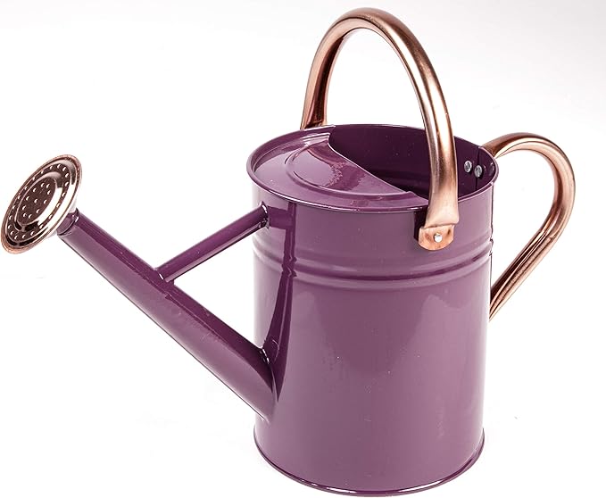 Gardman R34881 1 Gallon Watering Can, Deep Violet