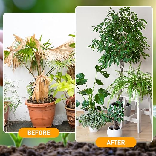 Soil Activator,Soil Pro Activator,Organic Soil Activators and Plant Fertilizers,Liquid Fertilizer for Indoor & Outdoor Plants Premium Soil Activated Treasure for Potting Mix and Seedling Compost(200g)